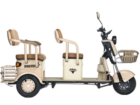 Трицикл электрический Rutrike Атлас (бежевый) (026353-3255)