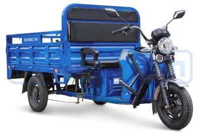 Трицикл электрический Rutrike D4 NEXT 1800 (синий)