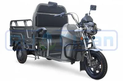 Трицикл электрический Rutrike Вояж К1 1200 60V800W (серый)