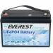 Тяговый аккумулятор Everest Energy (24В, 60Ач, LiFePO4, Bluetooth)