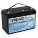 Тяговый аккумулятор Everest Energy (24В, 60Ач, LiFePO4, Bluetooth)