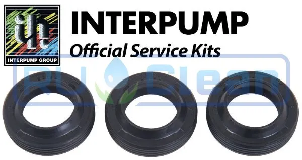 Ремкомплект сальников IPG KIT271 (E2D2013, E2B2014, E3B2515, E3B2121)