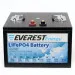 Тяговый аккумулятор Everest Energy (24В, 100Ач, LiFePO4, Bluetooth)