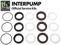 Ремкомплект манжет IPG KIT286 (для E3B2121)