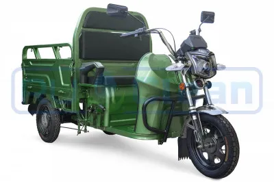 Трицикл электрический Rutrike Вояж К1 1200 60V800W (зеленый)