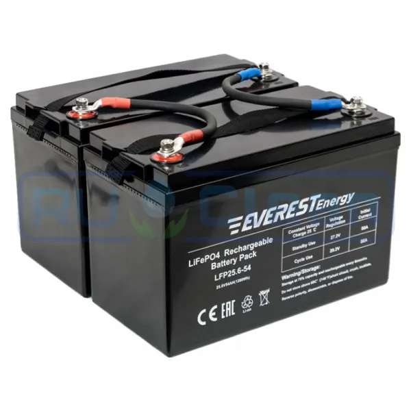 Тяговый аккумулятор Everest Energy (24В, 108Ач (54+54), LiFePO4)