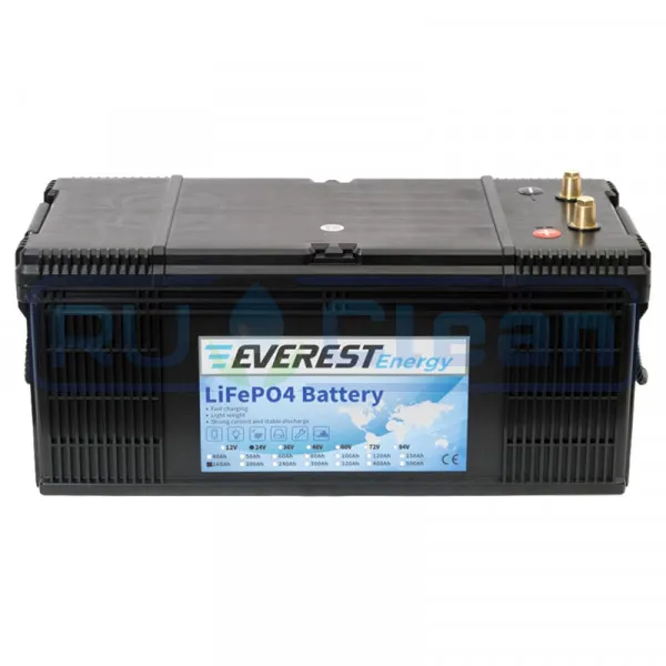 Тяговый аккумулятор Everest Energy (24В, 160Ач, LiFePO4)