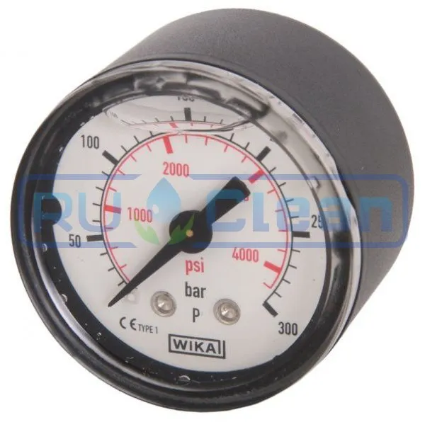 Манометр (300бар, 1/8"внеш, вход сзади, пласт) Interpump