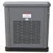 Генератор газовый EVOline GNG 13500 E