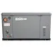 Генератор газовый EVOline GNG 19000 E