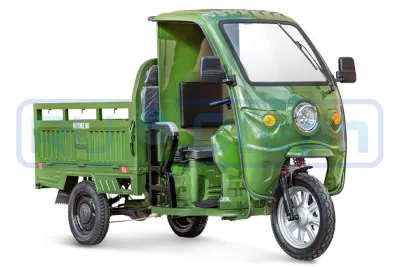 Трицикл электрический Rutrike Гермес 1500 60V/1200W (зеленый)