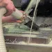 Пылесос промышленный Coynco PRO 1130 OIL