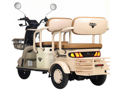 Трицикл электрический Rutrike Атлас (зеленый) (026353-3258)