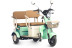 Трицикл электрический Rutrike Атлас (зеленый) (026353-3258)