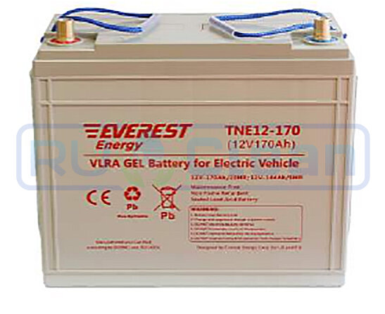 Тяговый аккумулятор Everest Energy TNE12-170 (144Ач, 12В, Gel)