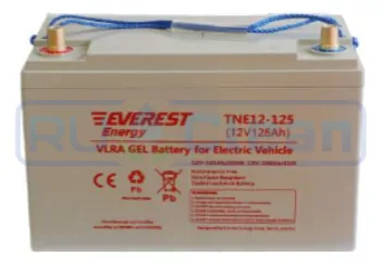 Тяговый аккумулятор Everest Energy TNE12-125 (106Ач, 12В, Gel)