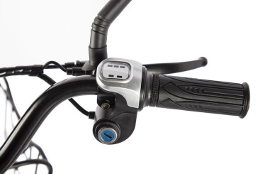 Электровелосипед GREEN CITY e-ALFA new (сине-серый матовый)