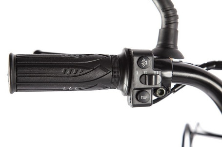 Электровелосипед GREEN CITY e-ALFA Fat (черный)