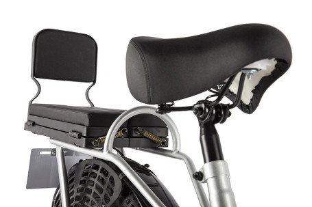 Электровелосипед GREEN CITY e-ALFA Fat (серебристый)