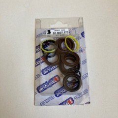 Комплект уплотнений Bertolini KIT76 (15ед, для TML)