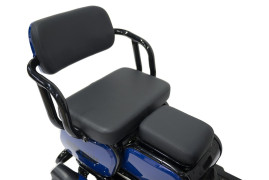 Трицикл электрический Rutrike Квадро (красный)