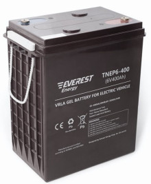 Тяговый аккумулятор Everest Energy TNE6-400 (6В, 320Ач, Gel)