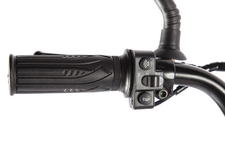 Электровелосипед GREEN CITY e-ALFA GL (темно-серый)