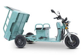 Трицикл электрический Rutrike Амулет 1100 (темно-зеленый)