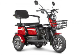 Трицикл электрический Rutrike Пилот (красный)
