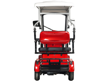 Трицикл электрический Rutrike Gelbert Hara (48/60V, 600W, синий)