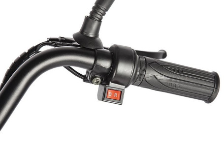 Трицикл электрический Eltreco Porter Fat 500 (черный)