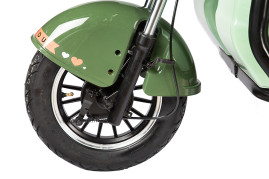 Трицикл электрический Rutrike Gelbert Kang (48/60V, 800W, зеленый)