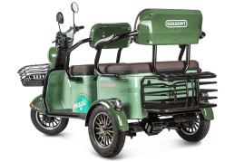 Трицикл электрический Rutrike Gelbert Kang (48/60V, 800W, зеленый)