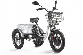 Трицикл электрический Eltreco Porter Fat 700 (серебристый)
