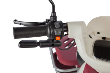 Трицикл электрический Rutrike Gelbert Mercury (48/60V, 650W, зеленый)