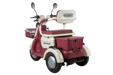 Трицикл электрический Rutrike Gelbert Mercury (48/60V, 650W, зеленый) (0000265-3049)