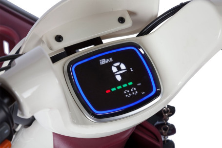 Трицикл электрический Rutrike Gelbert Mercury (48/60V, 650W, зеленый) (0000265-3049)