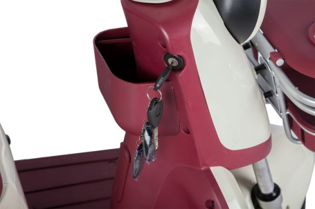 Трицикл электрический Rutrike Gelbert Mercury (48/60V, 650W, зеленый) (0000265-3049)