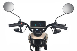 Трицикл электрический Rutrike Gelbert Atlas 48V/60V 600Вт (бежевый)