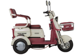 Трицикл электрический Rutrike Gelbert Mercury (48/60V, 650W, бело-красный)