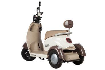 Трицикл электрический Rutrike Gelbert Ogma (48/60V, 650W, бело-коричневый)