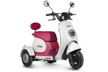 Трицикл электрический Rutrike Gelbert Ogma (48/60V, 650W, бело-красный)