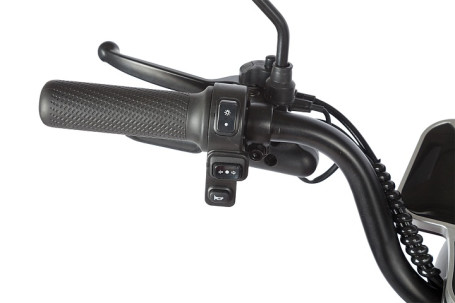 Трицикл электрический Rutrike Gelbert Sun (48/60V, 650W, черный) (0000271-3056)