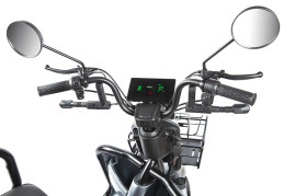 Трицикл электрический Rutrike Экипаж (зеленый)