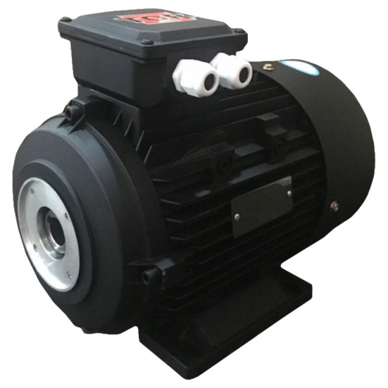 Электродвигатель TOR-DF (5.5кВт, 380В, 1450об/мин, п.в. 24мм, Dфл 75мм, H112)