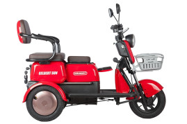 Трицикл электрический Rutrike Gelbert Sun (48/60V, 650W, зелено-белый)