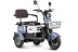 Трицикл электрический Rutrike Gelbert Sun (48/60V, 650W, фиолетово-белый) (0000271-3060)
