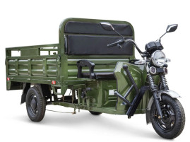 Трицикл электрический Rutrike D4 Next 1800 60V1500W (зеленый)