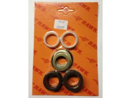 Комплект уплотнений помпы HAWK D25 XLT-XXT