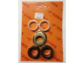 Комплект уплотнений помпы HAWK D25 XLT-XXT